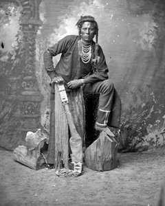 Curley, kråkscout, 1880-talet
